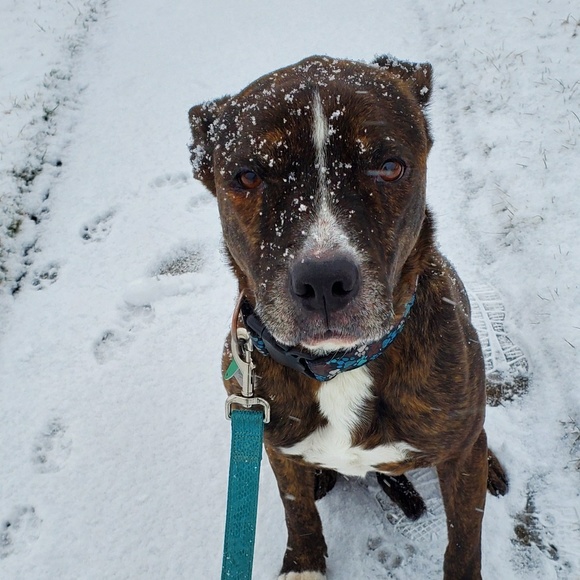 Meet your Posher, Ashley - Picture 1 of 1